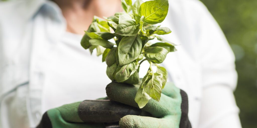 Armenia Climate Resilience